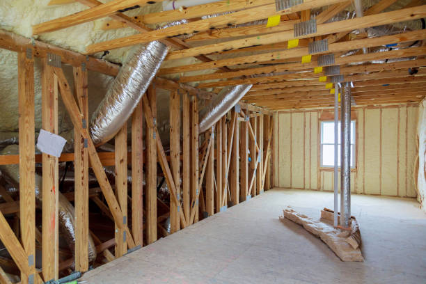Best Spray Foam Insulation in Alexandria, LA