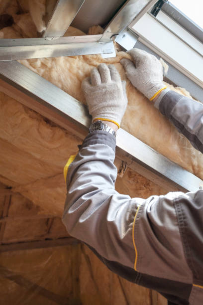 Best Spray Foam Insulation in Alexandria, LA