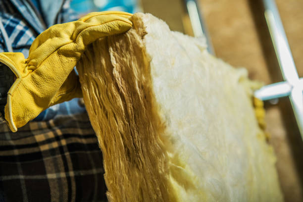 Best DIY Insulation Kits and Guidance in Alexandria, LA