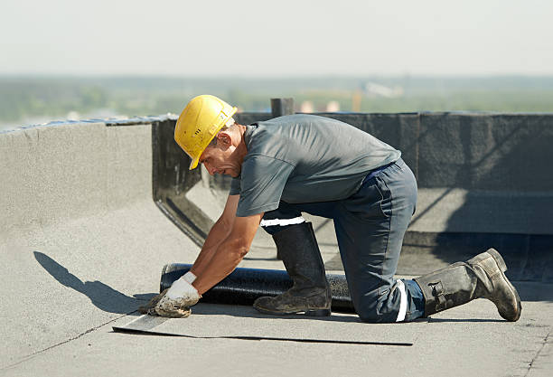 Best Cellulose Insulation in Alexandria, LA