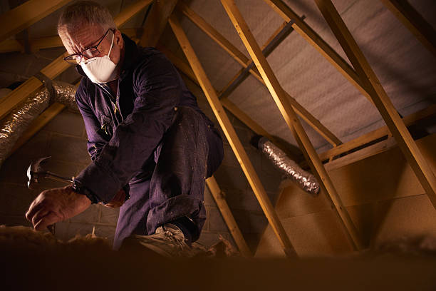 Types of Insulation We Offer in Alexandria, LA