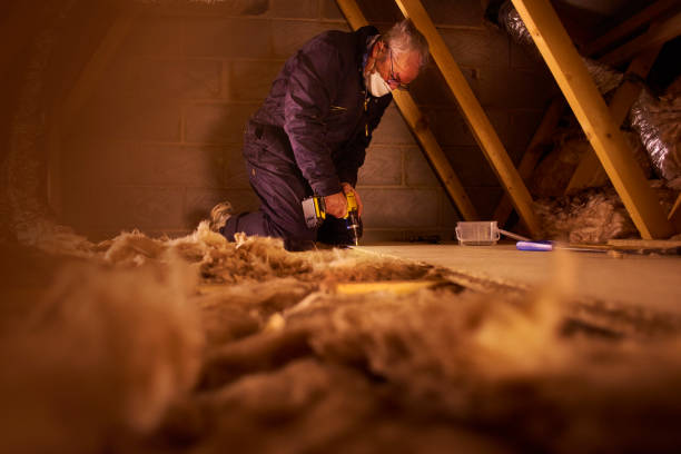 Best Spray Foam Insulation in Alexandria, LA