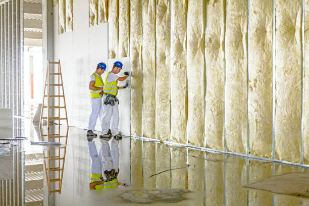 Professional Insulation Contractor in Alexandria, LA